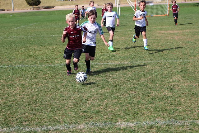 坛的竞争态 坛的竞争态