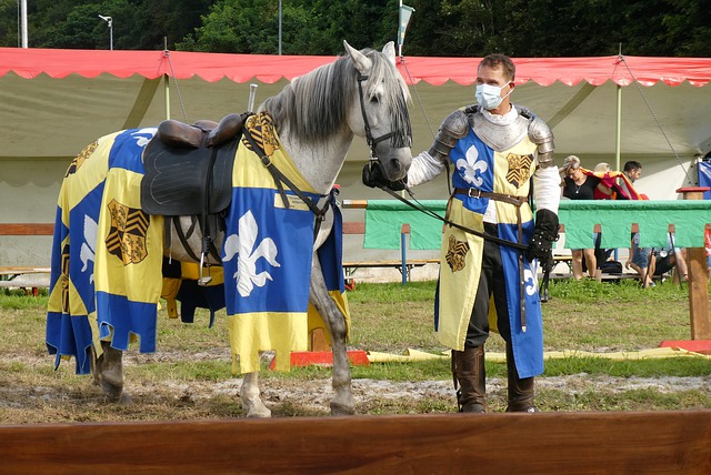 理念的典型 理念的典型