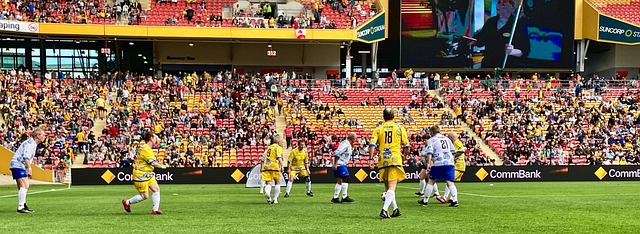 这场胜利对 这场胜利对