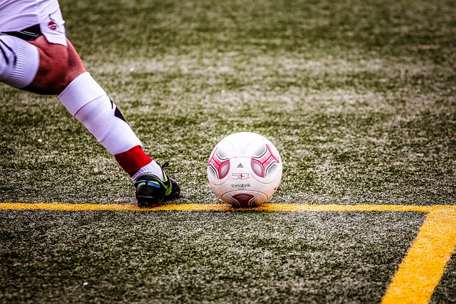 多特蒙德的 多特蒙德的