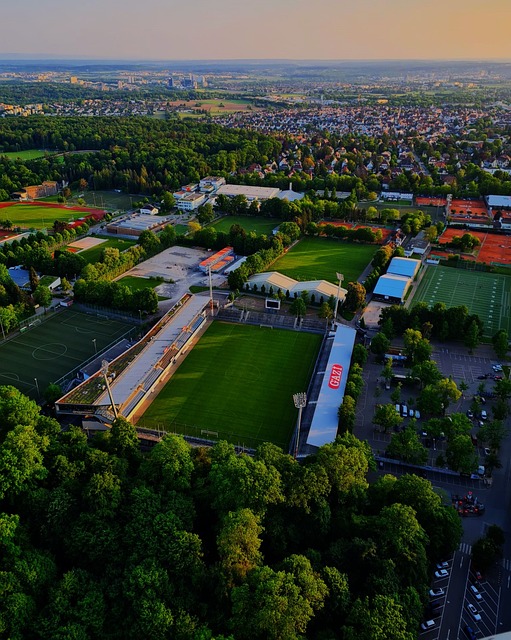 在习近平主 在习近平主